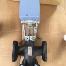 VVF53.50-40ͨ綯ڷDN50 PN25