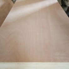 胶合板工厂供应家具级E0胶杨木芯桦木面漂白杨木科技木面皮BB夹板