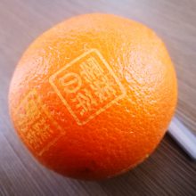 ճҼҹӦ3⼤ ȸȶ