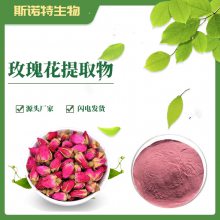 玫瑰花提取物 斯诺特生物 浓缩提取 重瓣红玫瑰粉