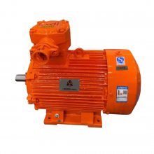 YBX3-160M-4 11KW 380V 21.*** B3/B35Ч綯