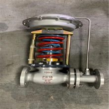 ZZYP-16Cʽѹڷ DN100 ʽѹڷ ZZYP -16C ֲʽѹڷ
