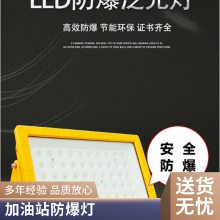 led防爆灯100w低压36v隧道灯加油站厂房仓库照明灯报价 圣锐