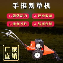 手推汽油剪草机 草坪修剪割灌机 柴油自行式碎草机厂