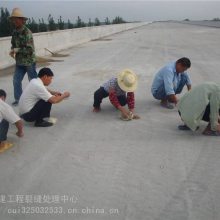古建筑裂缝灌注材料