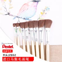 ձPentel/ͨZBS2ëƽͷˮʻˮۻëë