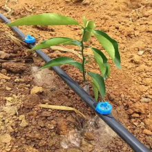 湖北山地果树灌溉设备 20pe滴灌管 果园水肥一体化设备