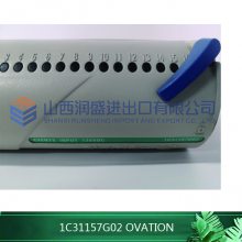 1C31157G02 OVATION ***