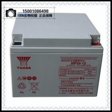 ǳNP38-12 12V38AHϵͳ