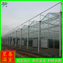 昱泰 纹络智能连栋玻璃温室 育苗种植大棚 YTWSWL0196