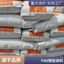 PA6 荷兰DSM 1040A