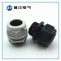 NPT1-1/4美制电缆固定头 环保电缆密封接头 锥螺纹电缆防水格兰头