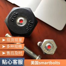 M4-M42Ƿĸ ñ пĸ SmartBolts ˨