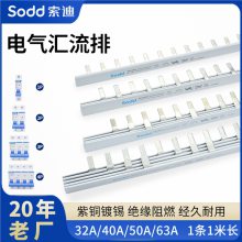 63A1234Pտ·32A-100Aͭ߶
