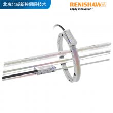 ܳܲդVIONiCϵ ߾ С ȫ***Renishaw