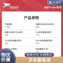 J305HG-AC Trojanάƿ 6V360 F綯泵۹⳵