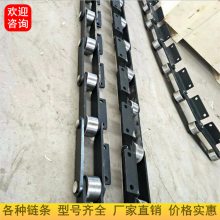 C212A节距38.1链条C2060双节距链条湖北武汉链条生产商