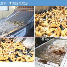 诸城瑞宝5000新型大姜清洗机 鲜姜高压喷淋清洗机