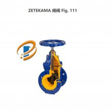 ӦZETEKAMAؿ827I080E49