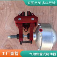 气动盘式制动器D1-2N A3094 焦作厂家平行替代意大利产品