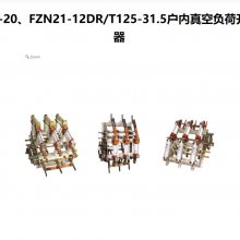 蓝开FZN21-12D（R）/T630-20/T125-31.5户内真空负荷开关带熔断器