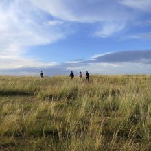 �������������Ż� �ļ�����ܸܸ�������̻���ѿ***�����������ٶȿ�