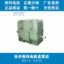 六安电机厂YKS4508-12-220KW-6KV变频高压电机维修保养服务