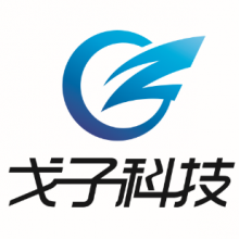 广州市戈子信息科技有限责任公司