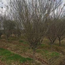 _Ѥ 5-8-10