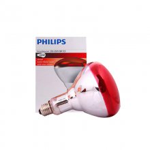 PHILIPS    BR125 250W ֳµƺɫ