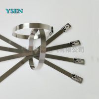 ·רò  304ʴ8*100MM