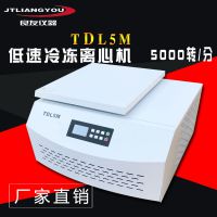 TDL5M䶳Ļ ѪѪ