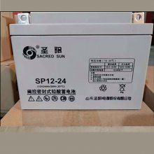 圣阳蓄电池SP12-24FR 现货正品 12V24AH 消防主机 UPS电源 直流屏