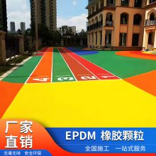 ɭרҵʩ EPDM 𽺿棬ȫչ