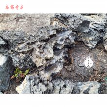江西景观石英石出售，大块英石湿水后效果，绿化假山石材英石