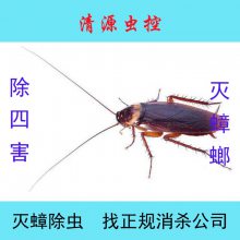ԴأʳƷݡ̳ѧУʳáͥƽ