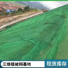 EM5植草绿化世杰三维植被网垫 河道护坡固土 规格全施工简单