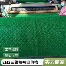 草皮环保世杰三维植被网 EM5塑料固土网垫 有利于植物生长