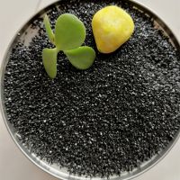 ӦɫʯӢɰ ͸ˮשúɫʯӢɰ 쾰úɫɳ