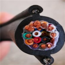 ׳(yng)p䓽z늄(dng)JSؙC(j)| RVV2G 8*1.25MM2 J|
