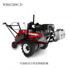 άWBSC309C-DƤʽƺֲл