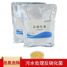 污水处理HE-M-A1反硝化菌种其他水处理化学品