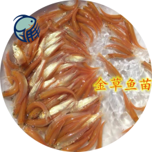 硾ˮ ѱ