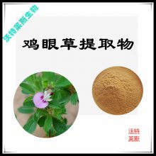 沃特莱斯生物 鸡眼草提取物10:1 浸膏粉 棕黄色粉末 可水溶