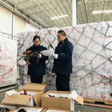重庆武隆进口食品报关,专注服务更放心