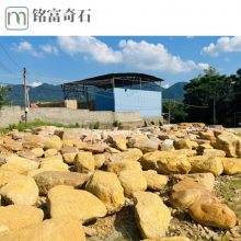 黄蜡石鱼池假山造景，广西景观假山石，东兴市石材产地直批