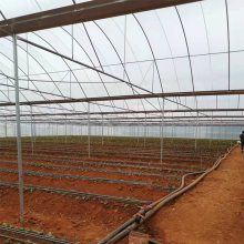 蔬菜温室大棚造价-宁洱蔬菜温室大棚-科创鲜花温室大棚报价