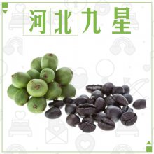 食品级咖啡豆提取物厂家 食用咖啡豆浓缩粉末原料