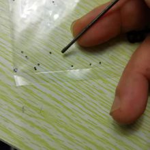 微小硅胶O型圈 细小氟橡胶密封圈 针孔小型防水圈 微粒橡胶塞垫管套垫片有规格表