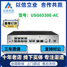 ҵǽUSG6530E SSL VPN100û